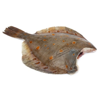 Камбала морская потр. охл 1кг.Россия