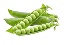 Кока Кола Зеро 0,33л ж/б