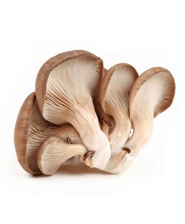 Грибы вешенки 1уп