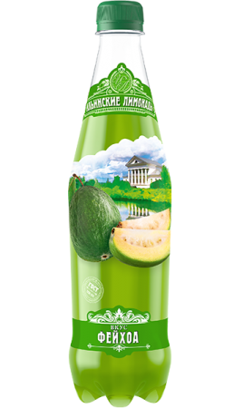 Напиток газ. Фейхоа 0,48л Ильинские лимонады