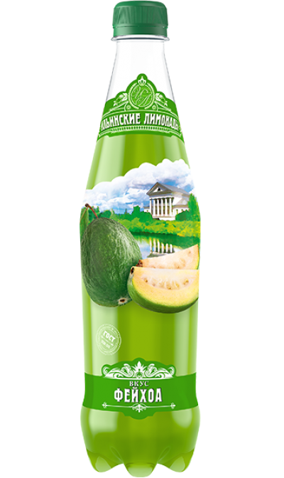 Напиток газ. Фейхоа 0,48л Ильинские лимонады