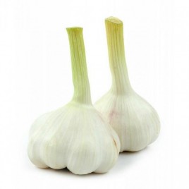 Чеснок молодой  1кг