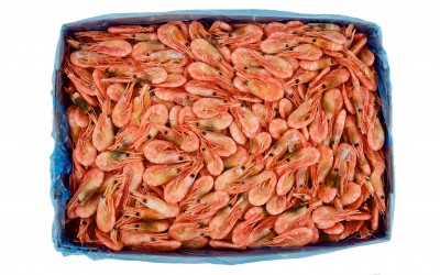 Королевские креветки в панцире в/м 60/80 зам. 1кг VICI