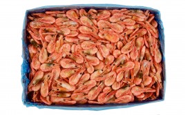 Королевские креветки в панцире в/м 60/80 зам. 1кг VICI