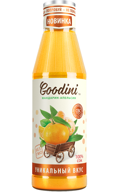 Сок Гудини Мандарин-апельсин 0,25л ст/б