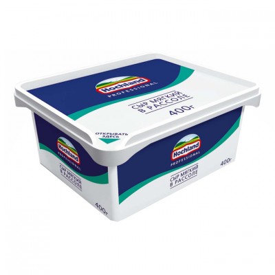 БЗМЖ Сыр  Хохланд мягкий в рассоле 45% 400г ванн