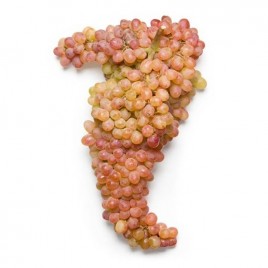 Виноград киш-миш розовый Армения 1кг