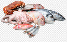Рыба/Морепродукты  весовка